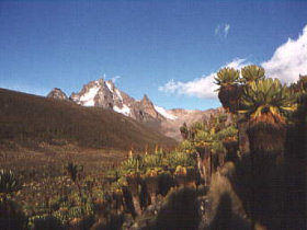 kenia3