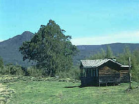 kenia4